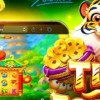Descubra as vantagens do 505bet.com app e aprenda como fazer apostas esportivas no Brasil com segurança